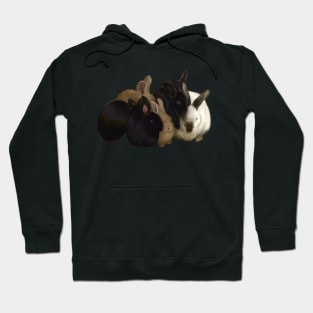 Bunny rabbit cuddles - cute bunny rabbits piling on for a big group hug Hoodie